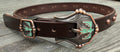 Thunderbird dog collar